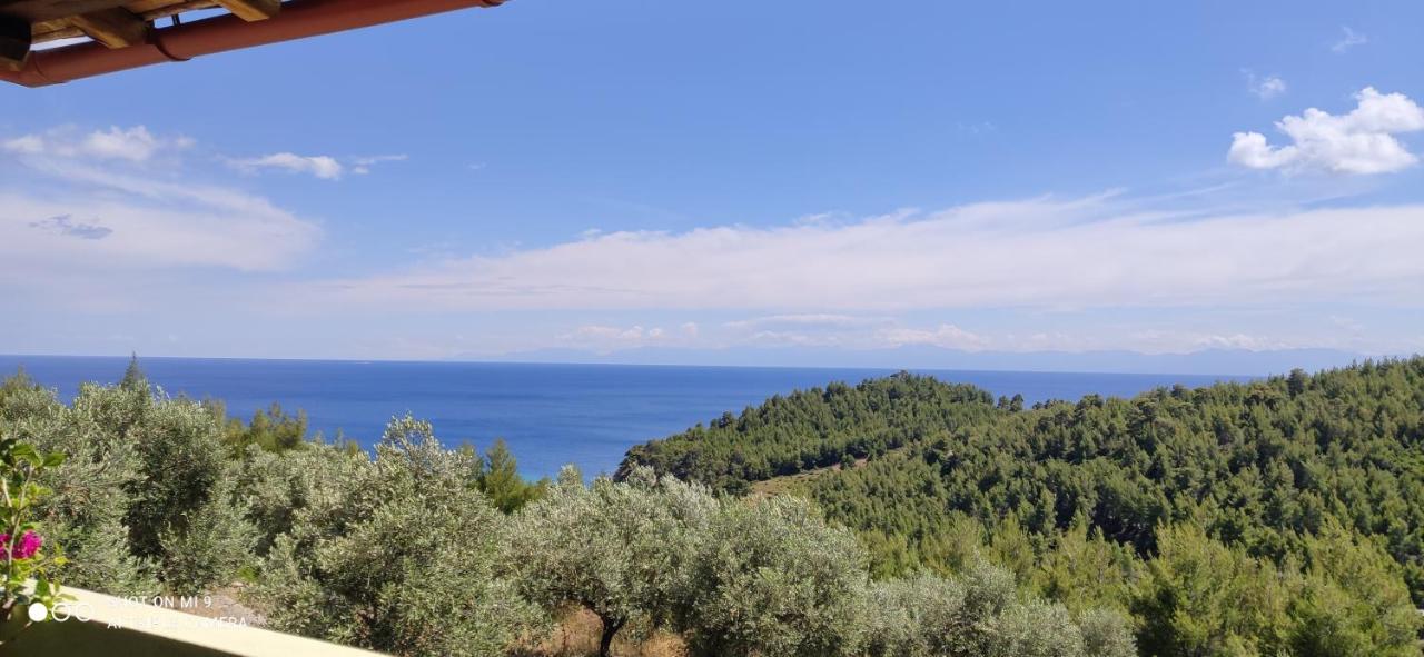 Elia House 1 Astoning Sea View Among The Olive Trees Patitiri Exterior foto